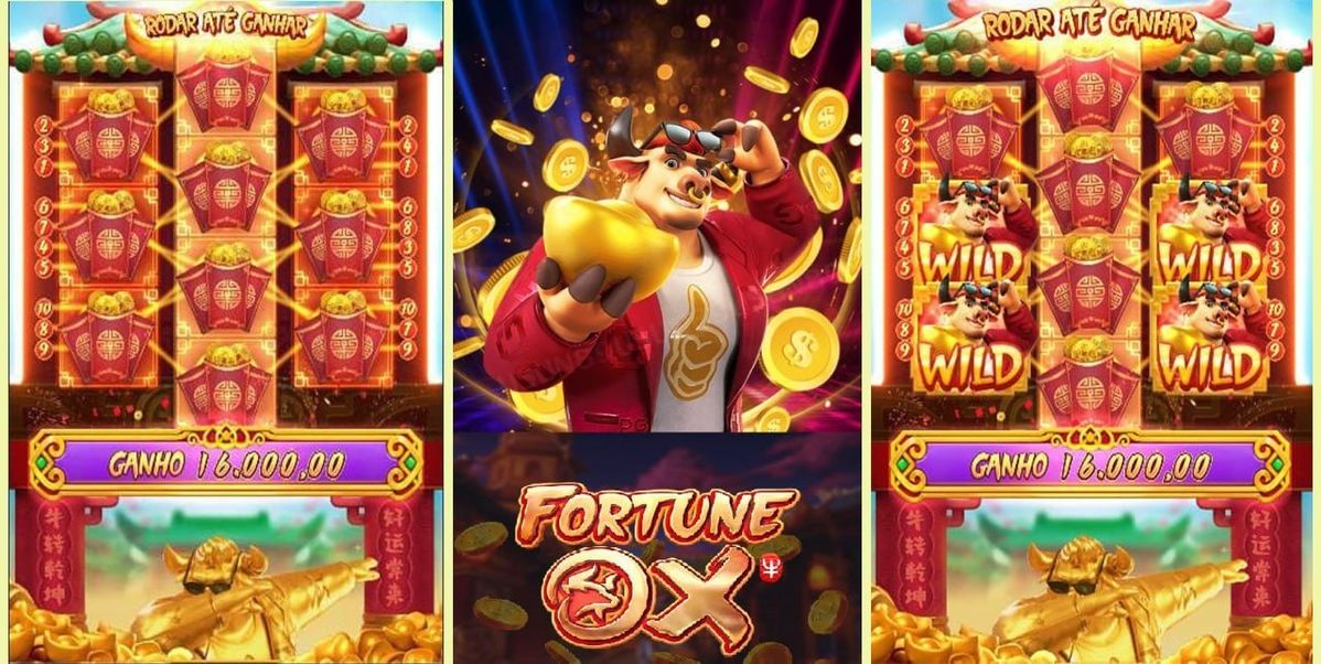 Bingo Patti کیسینو میں سلاٹ کھیلنا شروع کریں۔